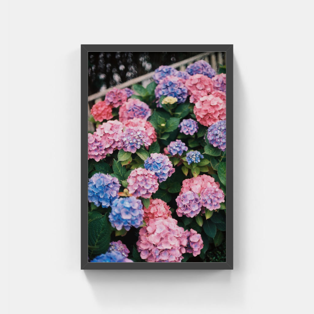 Nantucket Gems II