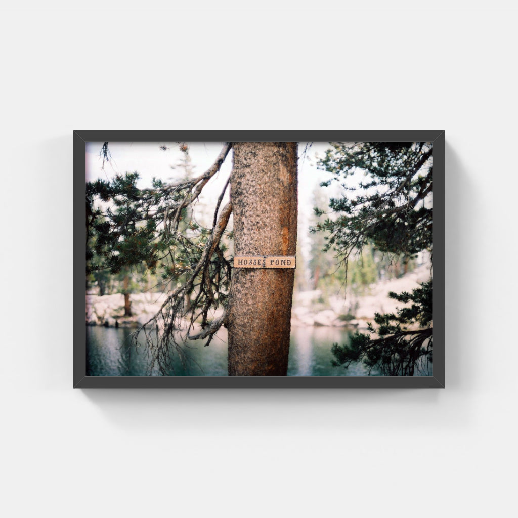 Hosses Pond II