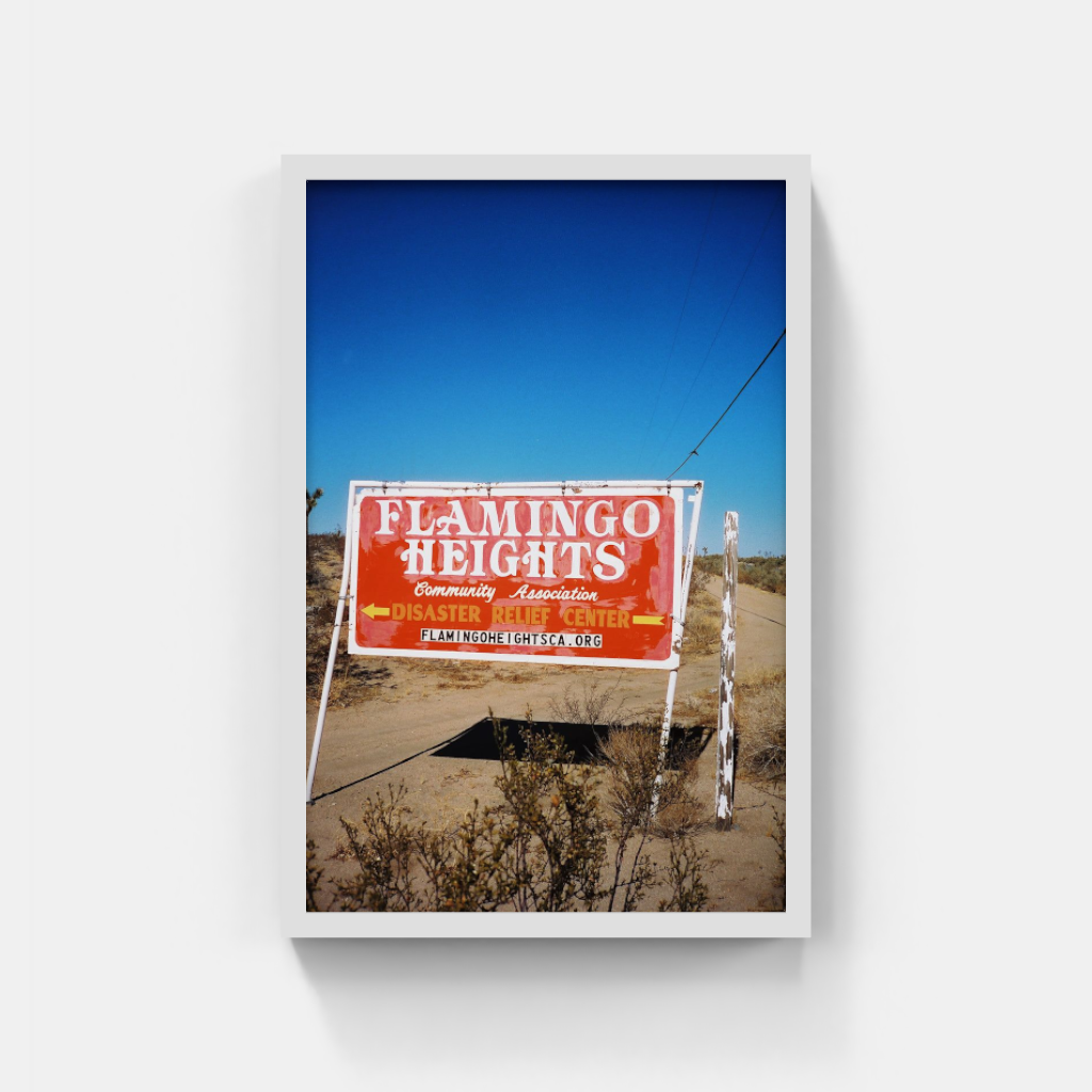 Flamingo Heights