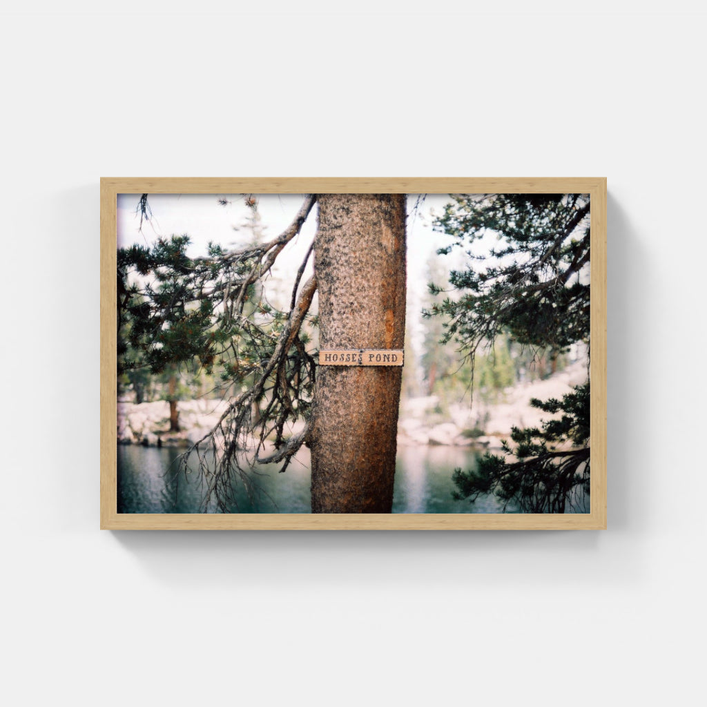 Hosses Pond II