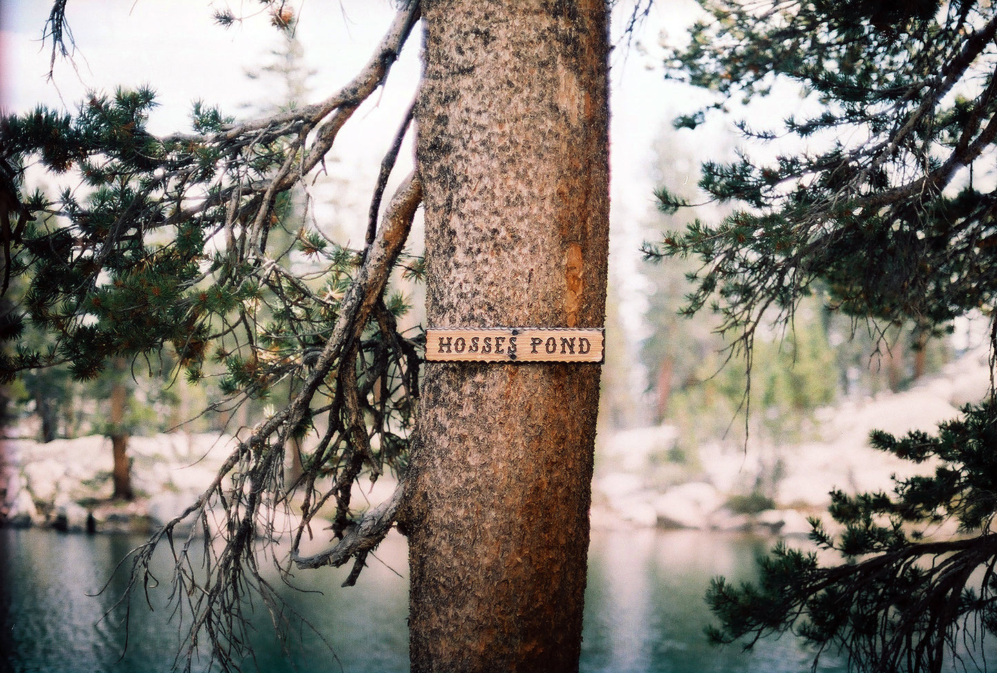 Hosses Pond II