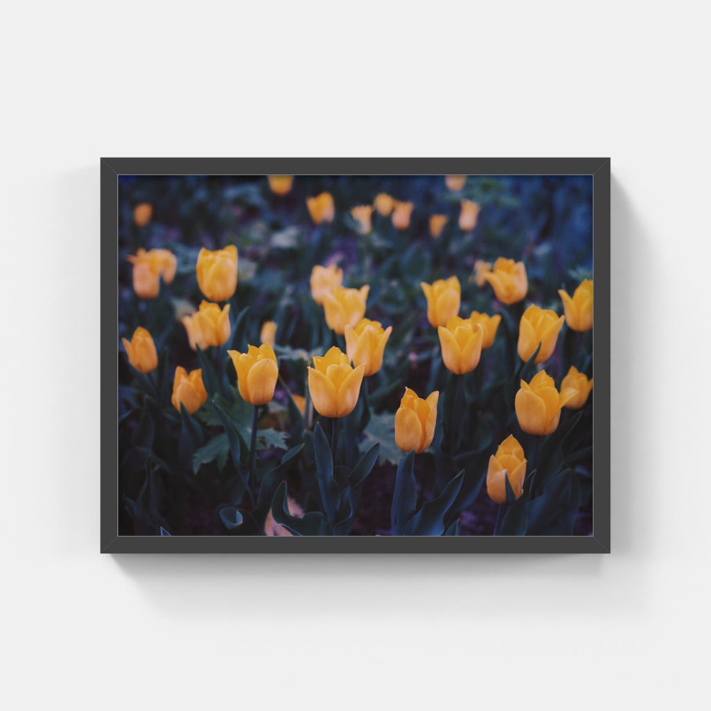 Spring II