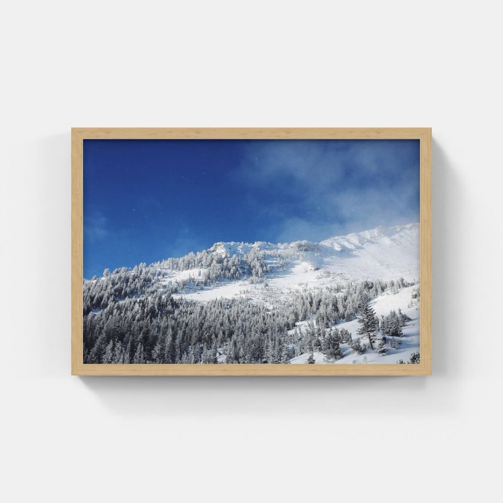 Mammoth Mountain II