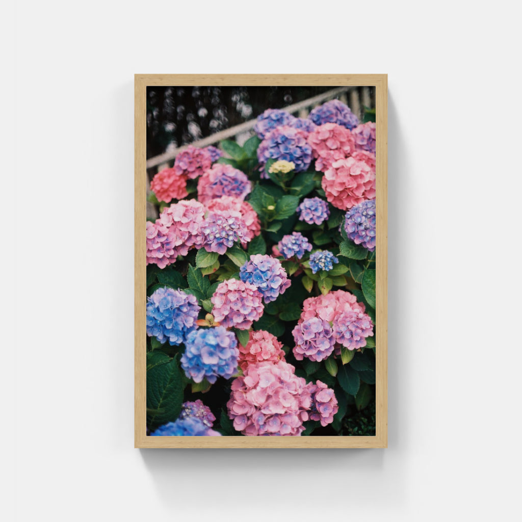Nantucket Gems II
