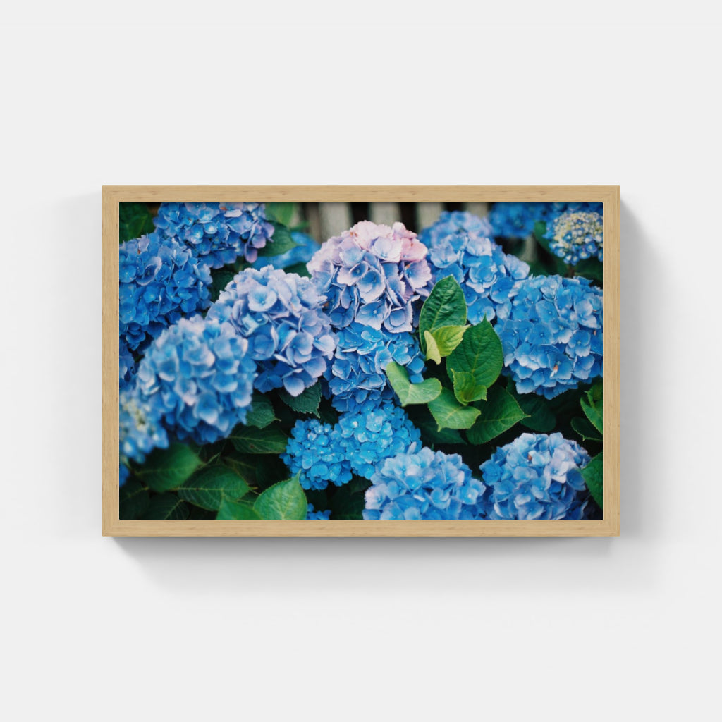 Nantucket Gems