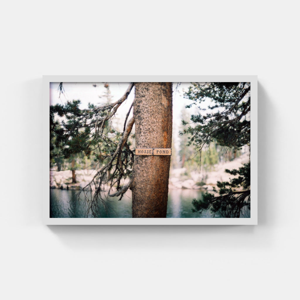 Hosses Pond II