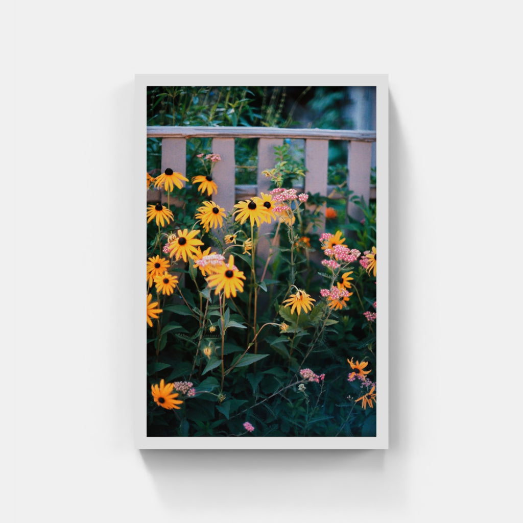 Nantucket Gems III