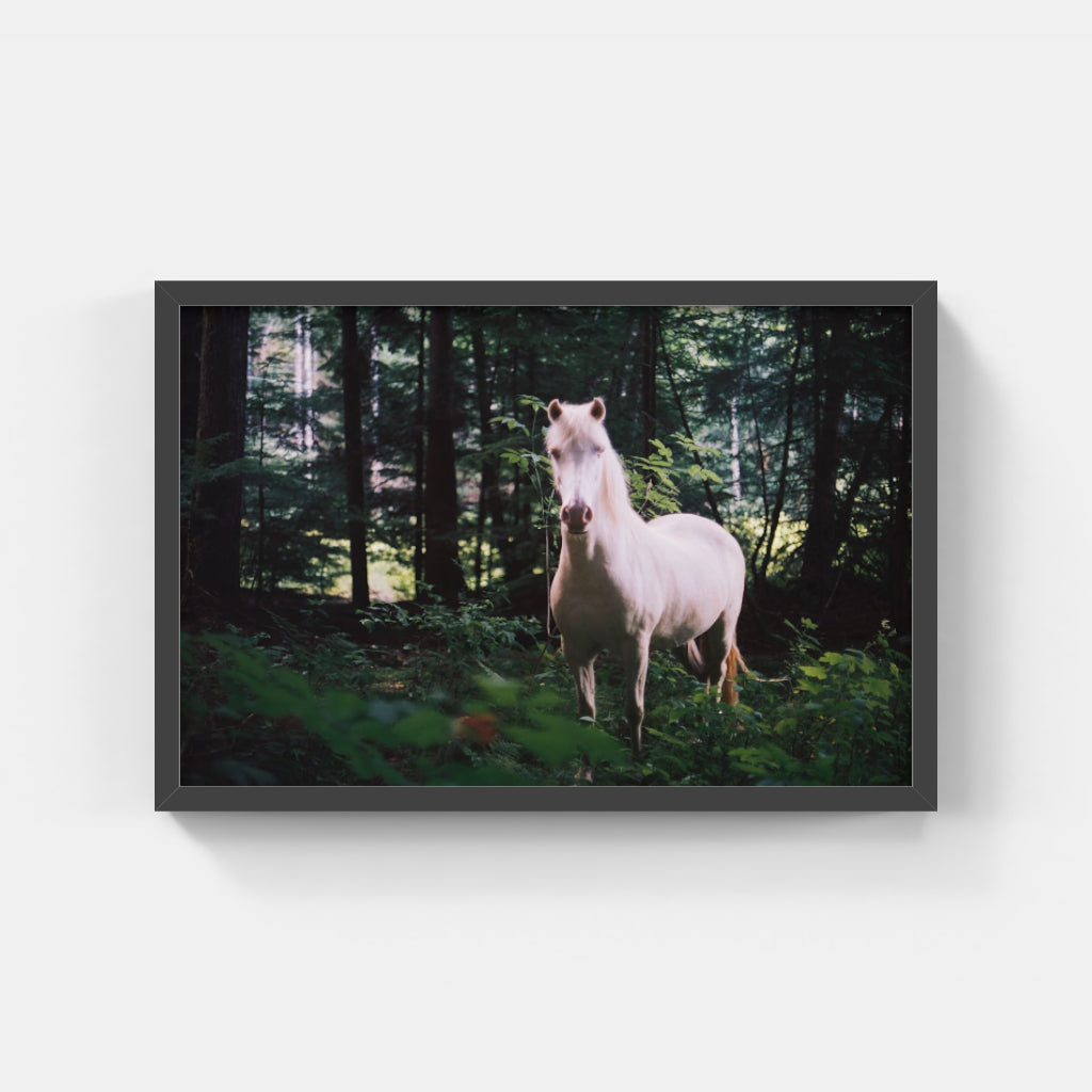 White Horse II