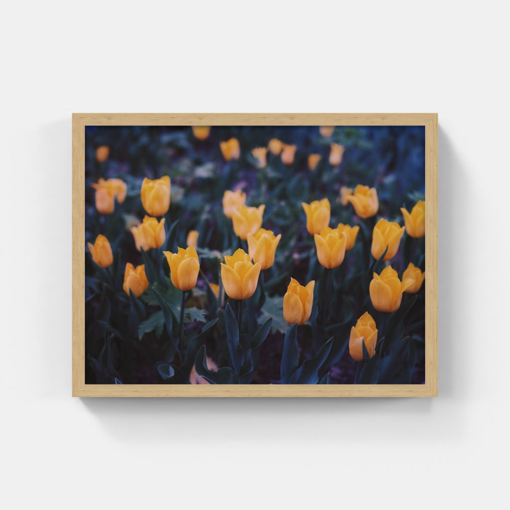 Spring II