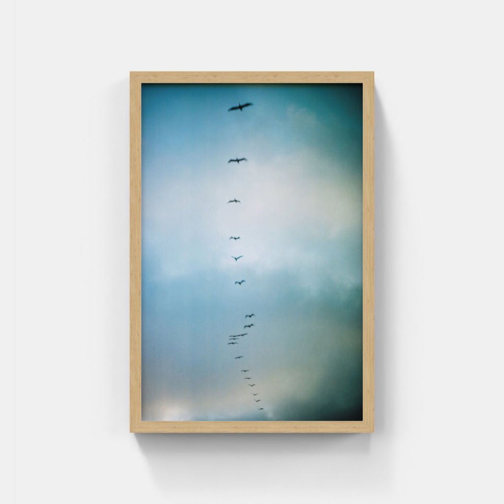 Soul Card Never Declines