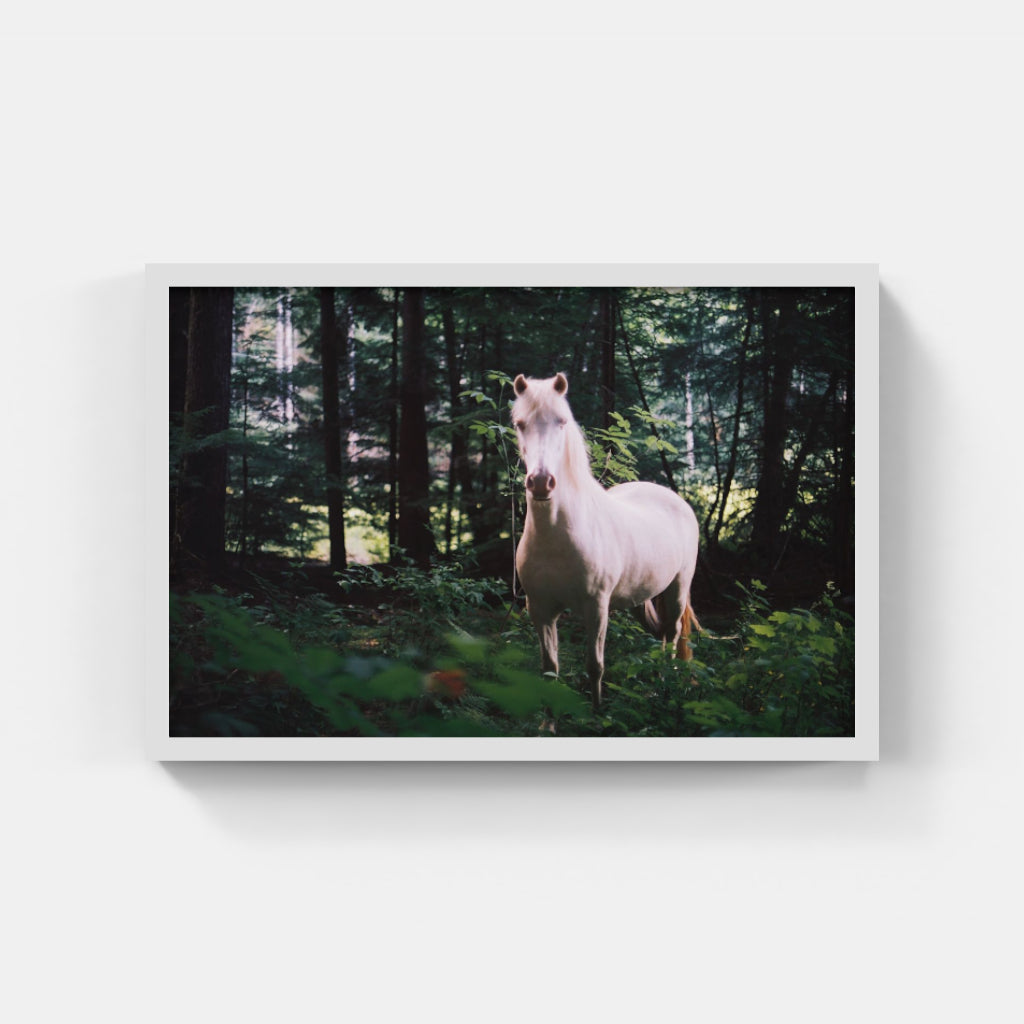 White Horse II
