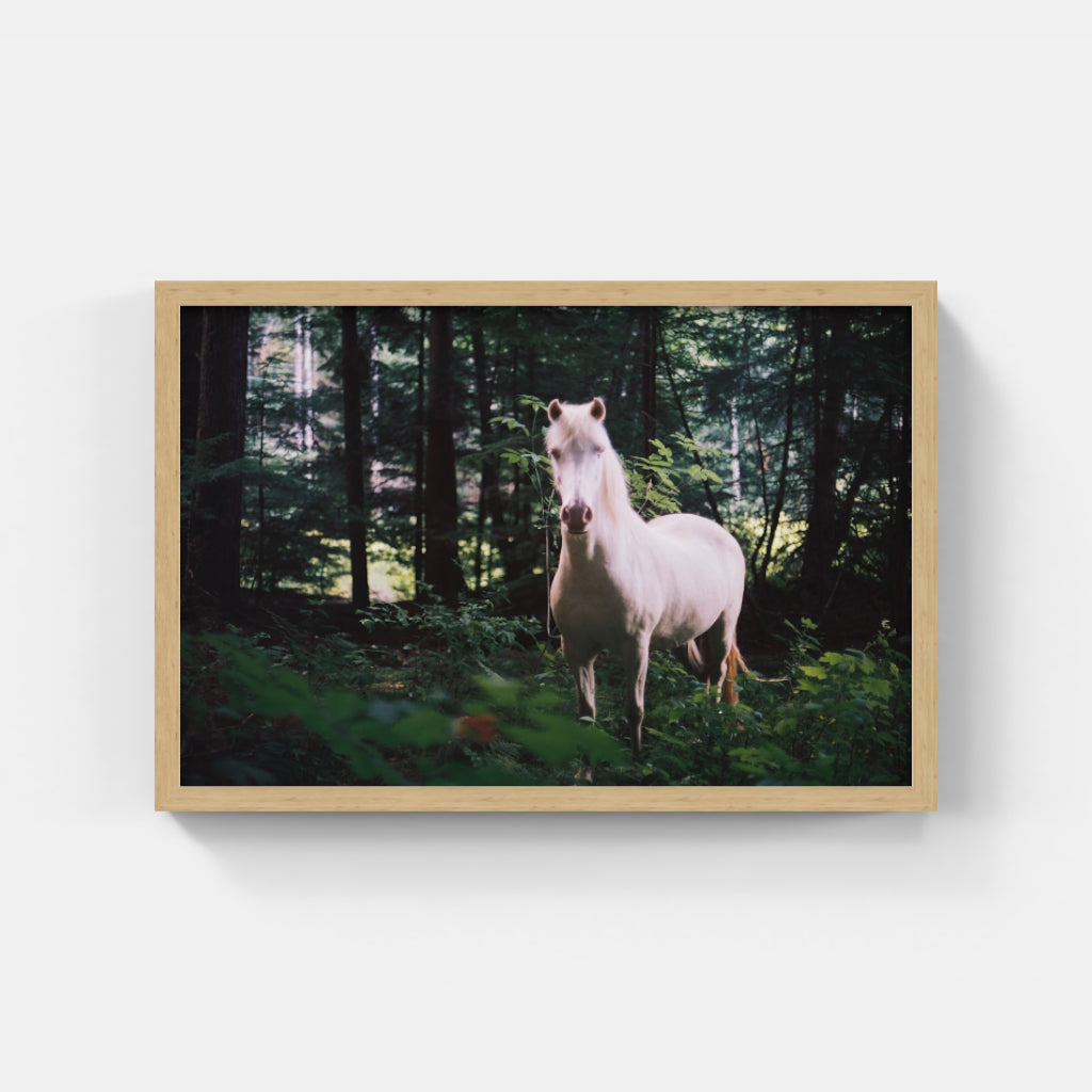 White Horse II