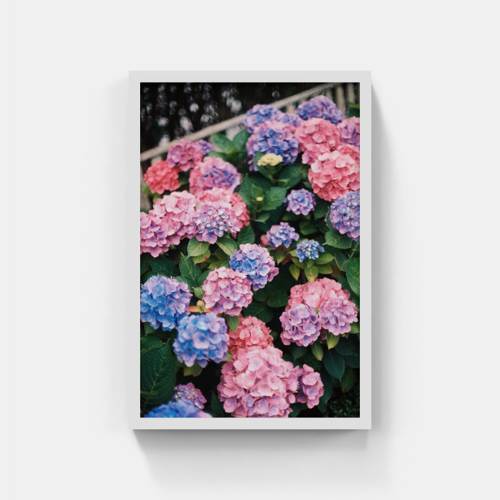 Nantucket Gems II