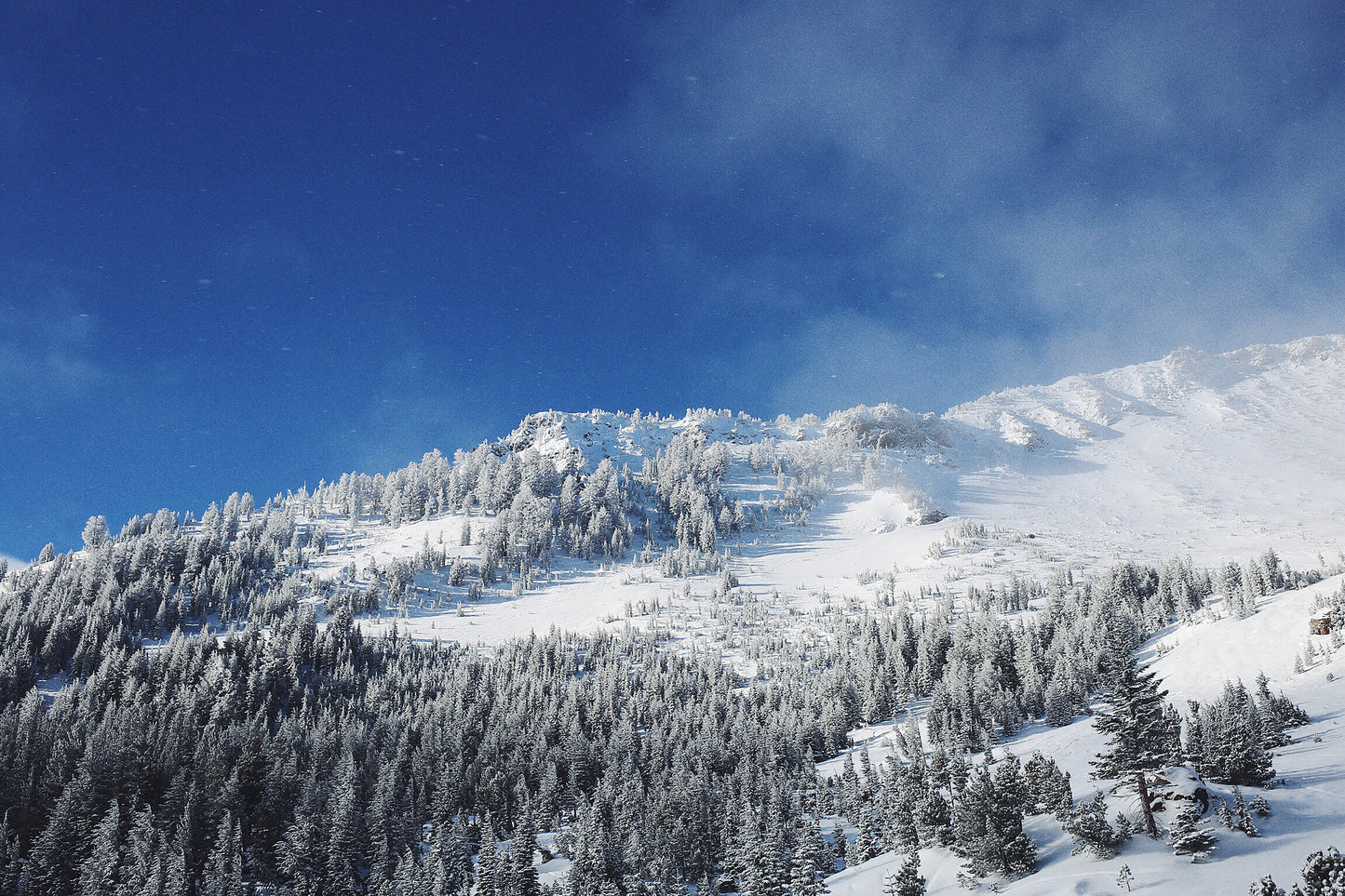 Mammoth Mountain II