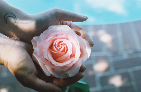 Bloom