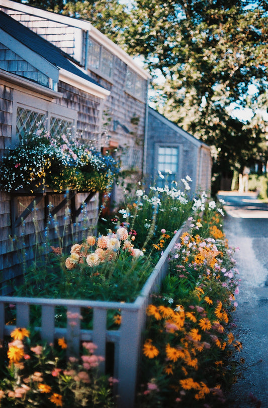 Nantucket Gems IIII