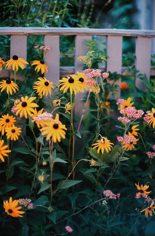 Nantucket Gems III