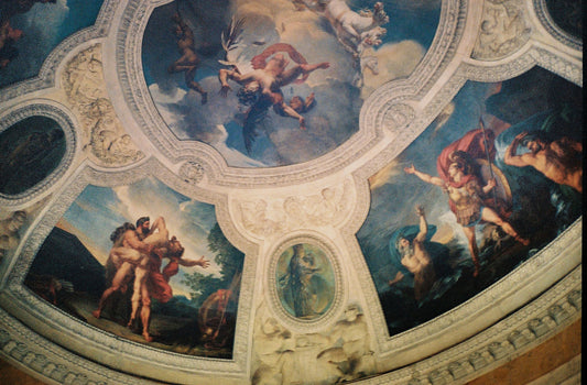 Looking Up