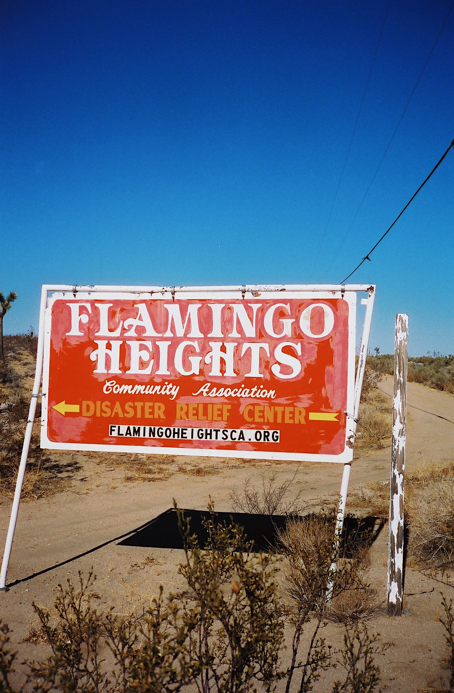 Flamingo Heights