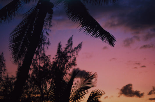 Hawaiian Vibes
