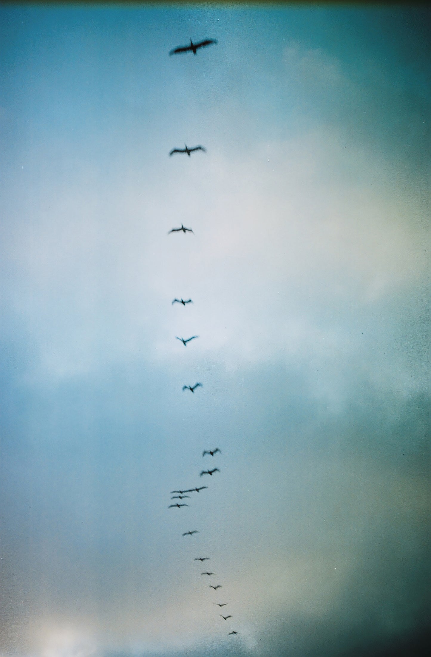 Soul Card Never Declines