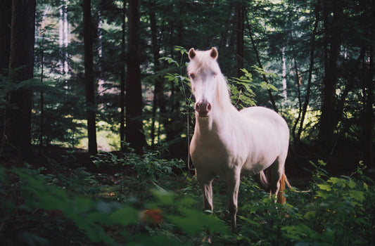 White Horse II
