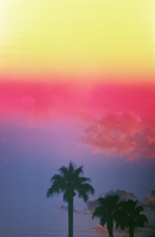 Sweet Disposition